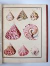 Geve, Nicolaus, Georg, Belustigungen im Reiche der Natur. Erster Band. Mit 18 ausgemahlten Kupfertafeln. (Posthum) hrsg. von J.D. Schultze.