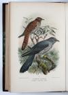 Lilford, T.L.P., Coloured Figures of the Birds of the British Islands.