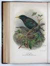 Lilford, T.L.P., Coloured Figures of the Birds of the British Islands.