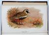 Lilford, T.L.P., Coloured Figures of the Birds of the British Islands.