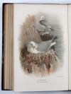 Lilford, T.L.P., Coloured Figures of the Birds of the British Islands.