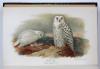 Lilford, T.L.P., Coloured Figures of the Birds of the British Islands.