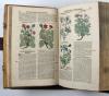 Tabernaemontanus, Jacobus Theodorus, Neu vollkommen Kräuter-Buch, mit schönen, künstlichen Figuren unnd Conterfeyten, aller Gewächs… auch deren… Underscheid und Würckung, sampt ihren Nahmen in mancherley Sprachen… Erstlich durch Casparum Bauhinum… zum Andern durch Hieronymum Bauhinum… vermehret. Und nun zum vierdten mahl ausfs fleisigst  übersehen…. und zu… Vollkommenheit gebracht.