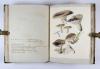 Wharton, Elizabeth, British Fungi. Manuskript mit 288 Tafeln.