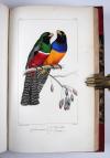 Lemaire, Charles und Lucas, Pierre-Hippolyte, Bibliothèque Zoologique (Reihentitel).  I. Histoire naturelle des oiseaux d’Europe. II. Histoire naturelle des oiseaux exotiques. III. Histoire naturelle des lépidoptères d’Europe. IV Histoire naturelle des lépidoptères exotiques.