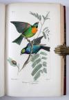 Lemaire, Charles und Lucas, Pierre-Hippolyte, Bibliothèque Zoologique (Reihentitel).  I. Histoire naturelle des oiseaux d’Europe. II. Histoire naturelle des oiseaux exotiques. III. Histoire naturelle des lépidoptères d’Europe. IV Histoire naturelle des lépidoptères exotiques.