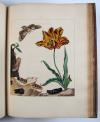 Harris, Moses, L’Aurelien, ou Histoire Naturelle des Chenilles, Chrysalides, Phalenes et Papillons Anglois avec les plantes dont ils se nourissent.