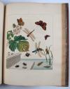 Harris, Moses, L’Aurelien, ou Histoire Naturelle des Chenilles, Chrysalides, Phalenes et Papillons Anglois avec les plantes dont ils se nourissent.