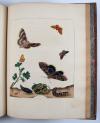 Harris, Moses, L’Aurelien, ou Histoire Naturelle des Chenilles, Chrysalides, Phalenes et Papillons Anglois avec les plantes dont ils se nourissent.