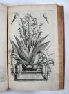 Munting, Abraham, Phytographia curiosa, exhibens arborum, fructicum, herbarum & florum icones.
