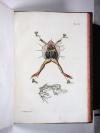 Roesel von Rosenhof, August Johann, Historia naturalis ranarum nostratium. Die natürliche Historie der Frösche des hiesigen Landes.