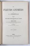 Grandville, J.J. (d.i. J.I.I. Gérard), Les Fleurs animées. Texte par Alph. Karr, Taxile Delord et Le Cte. Foelix. Nouvelle édition.