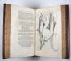 Salviani, Ippolito, Aquatilium animalium historiae, liber primus, cum eorumdem formis, aere excusis.