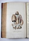 Curtis, William, Flora Londinensis: or, plates and descriptions of such plants as grow wild in the environs of London, with their places of growth, and times of flowering, their several names according to Linnaeus and other authors: with a particular description of each plant in latin and english. To which are added their several uses in medicine, agriculture, rural oeconomy and other arts.