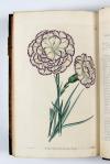 Sweet, Robert, The Florist’s Guide, and the Cultivator’s Directory; containing coloured figures of the choicest flowers, cultivated by florists; including ranunculas, carnations, picotees, pinks, georginas, polyanthus, auriculas, hyacinths, and tulips, with their descriptions, and an account of the most approved methods of culture.