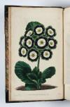 Sweet, Robert, The Florist’s Guide, and the Cultivator’s Directory; containing coloured figures of the choicest flowers, cultivated by florists; including ranunculas, carnations, picotees, pinks, georginas, polyanthus, auriculas, hyacinths, and tulips, with their descriptions, and an account of the most approved methods of culture.