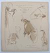 Klimt, Margarethe (Hrsg.), Modelle und Modellideen. Mappe I: Gesellschaftskleider 1936-37. Mappe II: Sommerliche Sportkleidung 1938. Veröffentlicht vom Modeamt der Stadt Frankfurt.